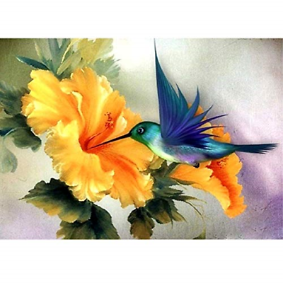 Acandyl Paint By Number Hummingbird Diy Oil Painting Paint By Number Kit For By